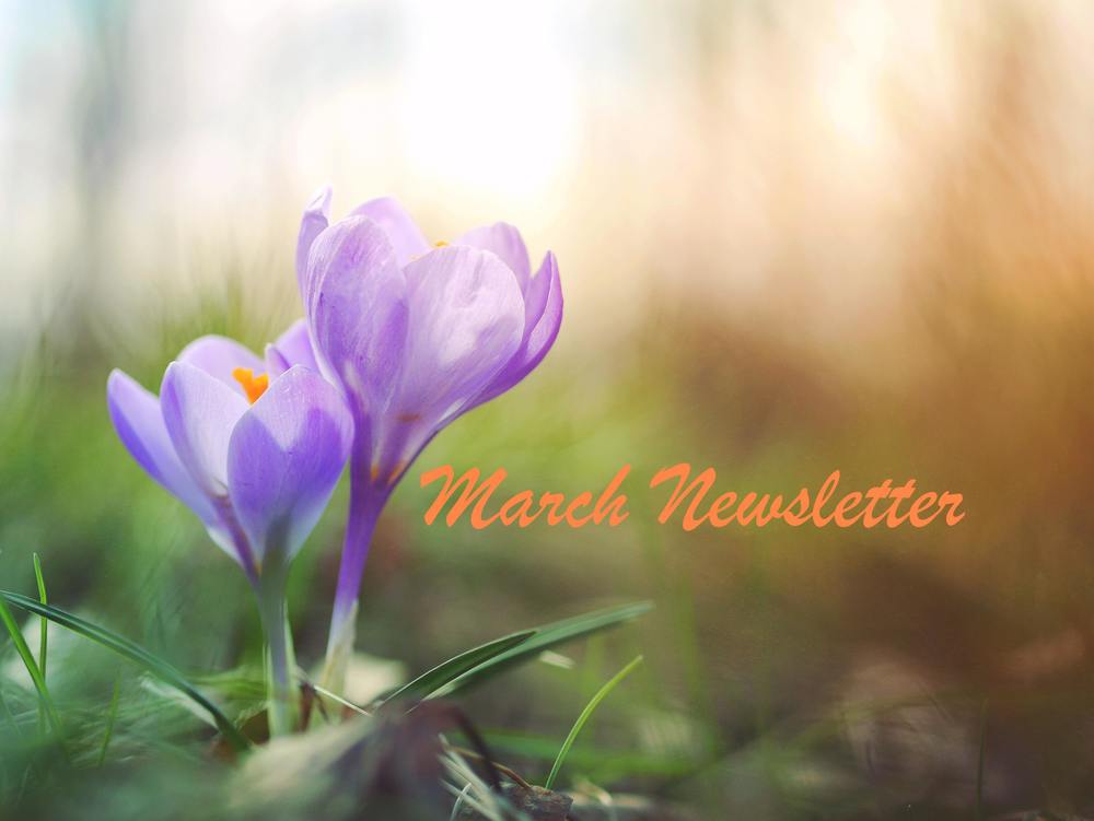March Newsletter, spring flowers