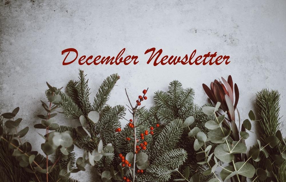 December Newsletter text with pine and holly branches