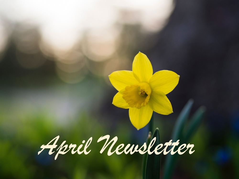 daisy "April Newsletter"